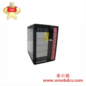 GE GE FANUC IC670MDL331 工业控制现场输入输出模块