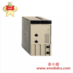 施耐德 Schneider 140SDI95300S Modicon 安全直流输入模块