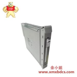 TRUSTED PLC TD016AIX ICS Triplex 工业可编程逻辑控制器